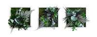 plant pictures with jungle design 22x22cm 3 pack solid wood frame (white) plant pictures with jungle design 22x22cm 3 pack solid wood frame (white)