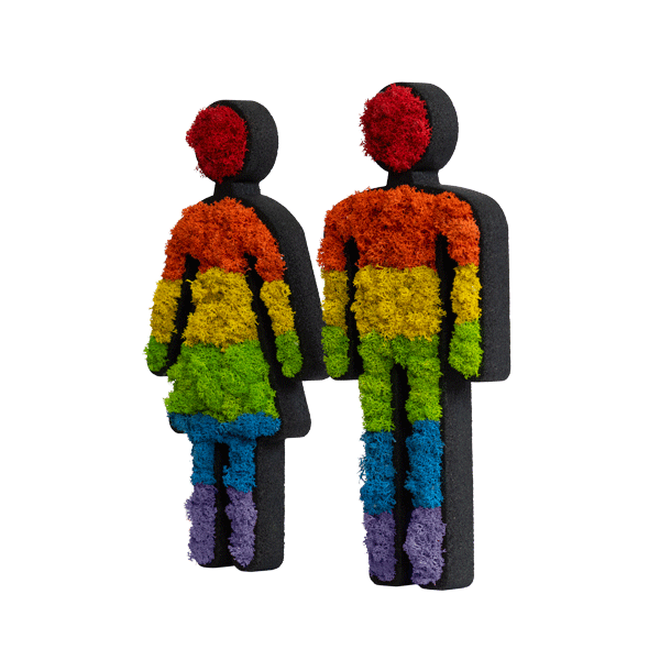 Pictogram: moss couple 25cm multicolored