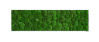 Moss picture: Pole moss picture 140x40 Moss picture: Pole moss picture 140x40