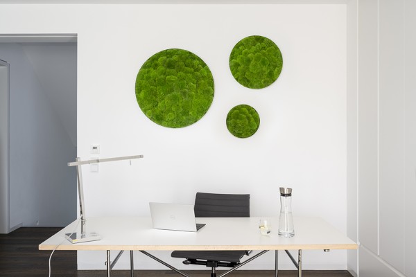 Moss picture: Pole moss-ellipsoid 80cm