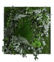 plant pictures with jungle design 80x80cm solid wood frame (white) plant pictures with jungle design 80x80cm solid wood frame (white)