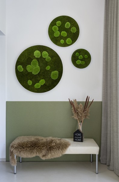 Moss picture: Forest and pole moss circle 80cm