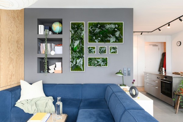 plant pictures with jungle design 57x27cm solid wood frame (white)