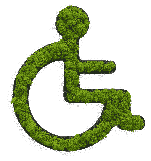 Reindeer moss pictogram wheelchair