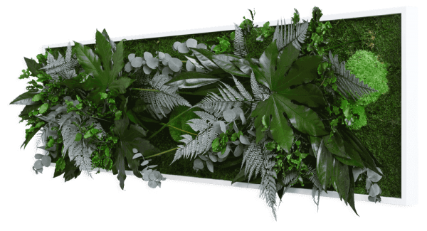 plant pictures with jungle design 140x40cm solid wood frame (white)