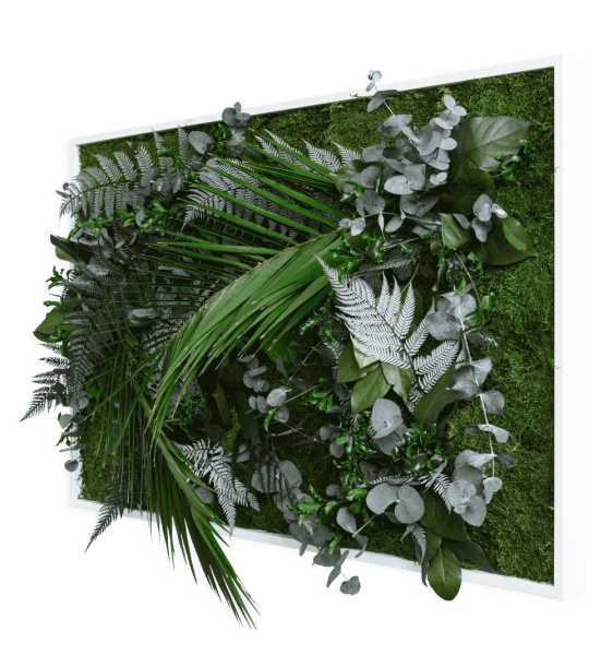 plant pictures with jungle design 100x60cm solid wood frame (white)