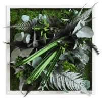 plant pictures with jungle design 35x35cm solid wood frame (white) plant pictures with jungle design 35x35cm solid wood frame (white)