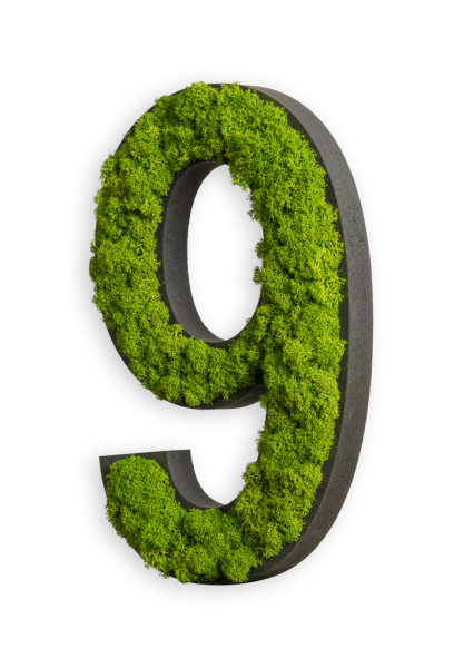 Pictogram: Letter Reindeer moss