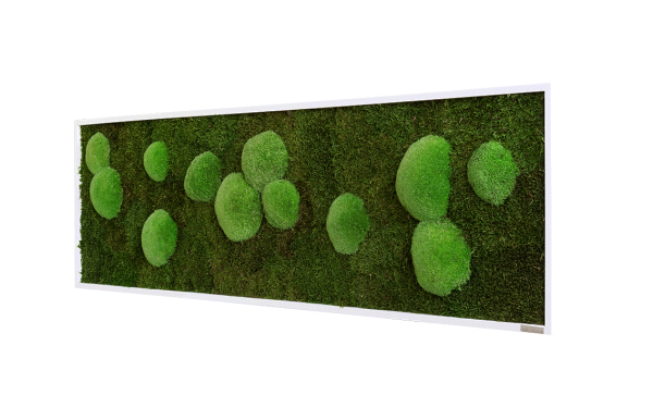 Moss picture: Pole and forest moss picture 140x40cm