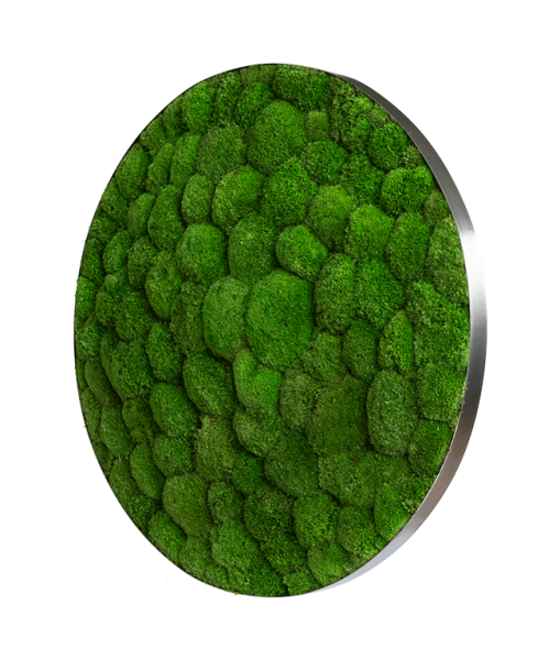 Moss picture: Pole moss-ellipsoid 80cm