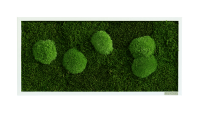 Moss picture: Pole and forest moss picture 57x27 Moss picture: Pole and forest moss picture 57x27