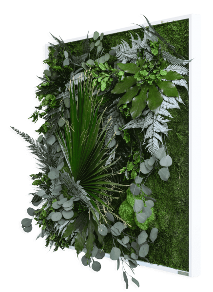 plant pictures with jungle design 80x80cm solid wood frame (white)