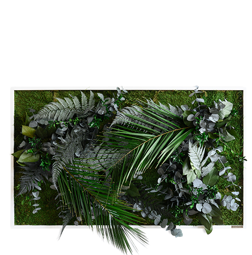 styleGREEN Moosbild kaufen